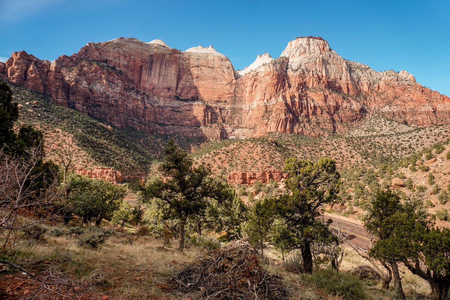 Zion Again and Again | teal tales